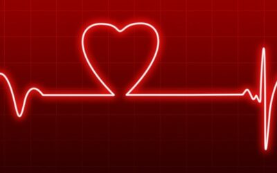 Future of Film Review: FITNESS TRACKERS & Emotion Sensing Software?